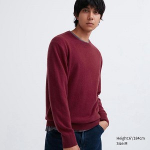 Uniqlo Cashmere Crew Neck Men Jumper Wine US | CIPU-37284