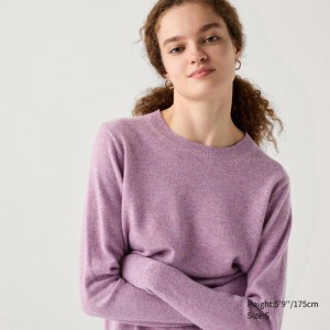 Uniqlo Cashmere Crew Neck Women Jumper Purple US | LISH-21583