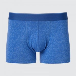 Uniqlo Cotton Boxer (Low Rise, Print) Men Briefs Blue US | UYVR-19340