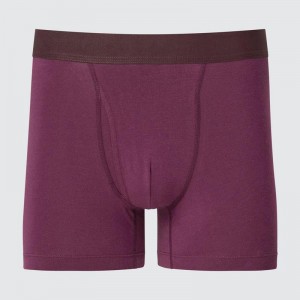 Uniqlo Cotton Regular Rise Boxer Men Briefs Wine US | NPTB-60539