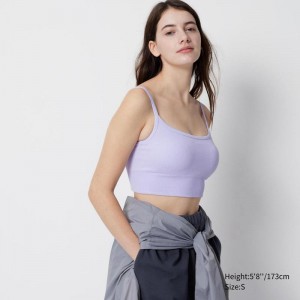 Uniqlo Cropped Women Camisoles Light Purple US | MNQT-97316