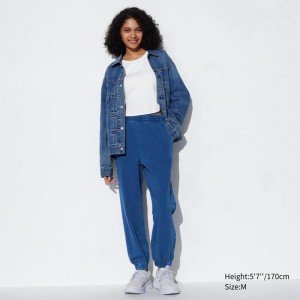 Uniqlo Joggers Women Joggers Blue US | OBUT-14785