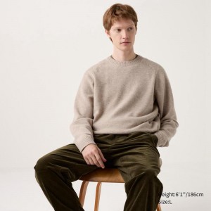 Uniqlo Lambswool Crew Neck Men Jumper Beige US | EHAD-67439