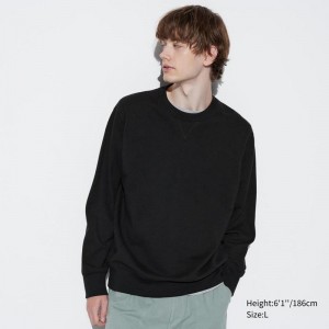 Uniqlo Men Sweatshirt Black US | DFZB-93527