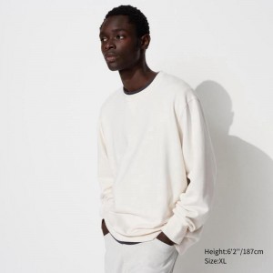 Uniqlo Men Sweatshirt Off White US | WUAT-06792