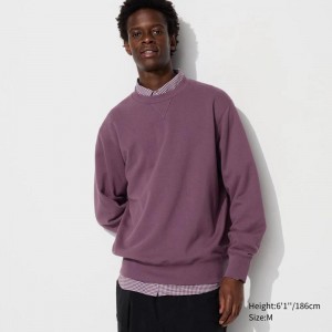 Uniqlo Men Sweatshirt Purple US | IYRA-35941