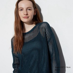 Uniqlo Mesh Crew Neck Women Jumper Blue US | TCZX-47801