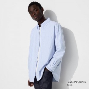 Uniqlo Oxford (Regular Fit, Stripe) Men Shirts Blue US | TAGR-95874