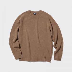 Uniqlo Premium Lambswool Crew Neck Men Jumper Brown US | PRNS-17648