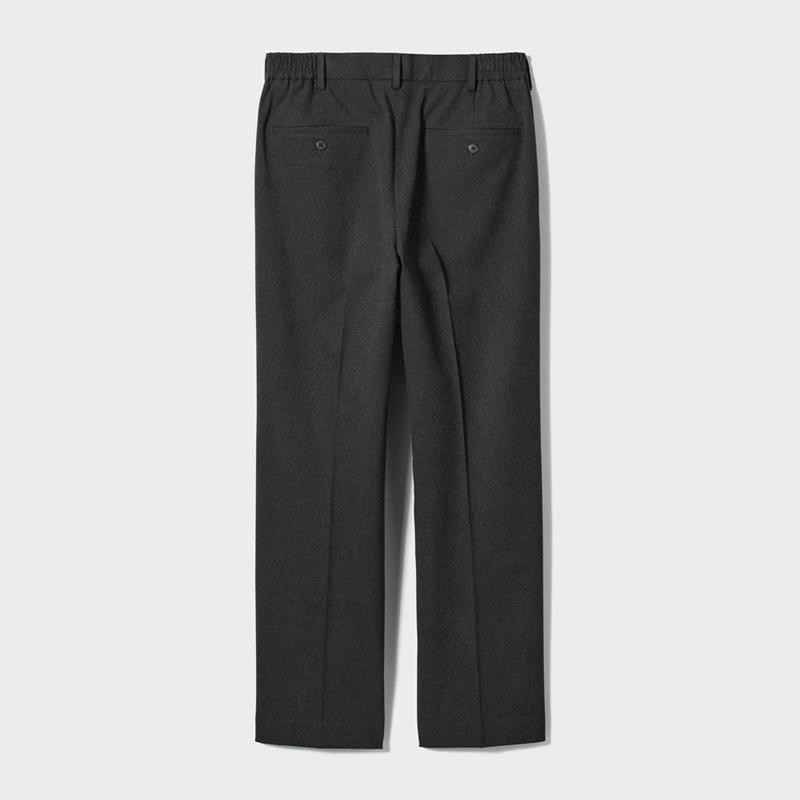 Uniqlo Pleated Wide (Brushed) Men Trousers Navy  US |  WJNR-85130